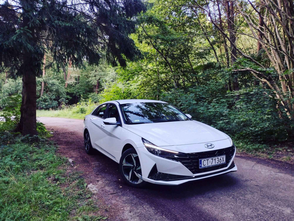 Gepard Prywatny Kierowca Indywidualny przewóz osób Piła - zdjęcie 4