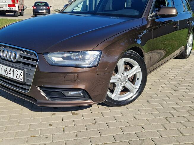 Audi A4 2.0tdi 177KM Automat S line Bixenon Ledy Navi Hak Raty Zamiana Strobice - zdjęcie 12
