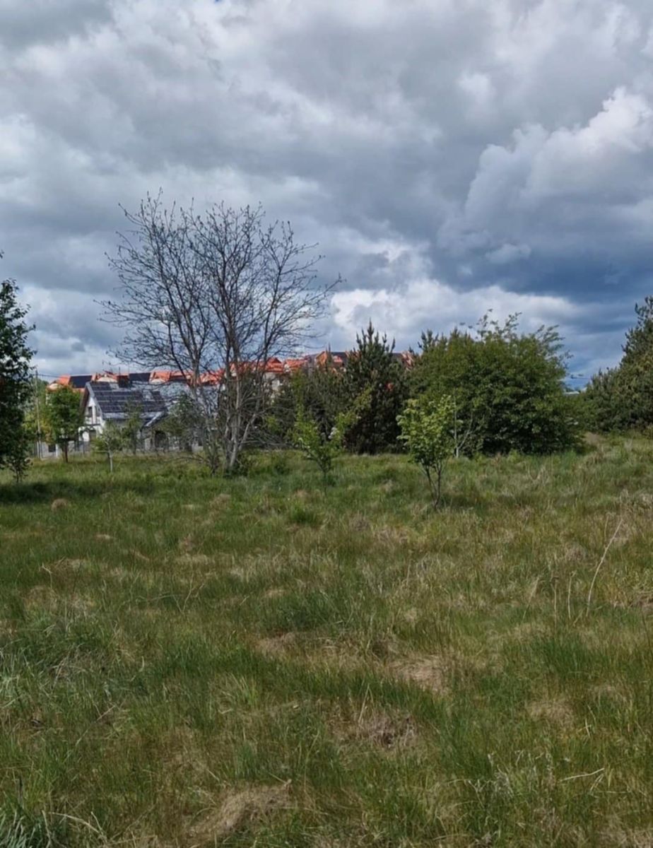 Działka rolno-budowlana 5226m2 Bielsk Podlaski Bielsk Podlaski - zdjęcie 8