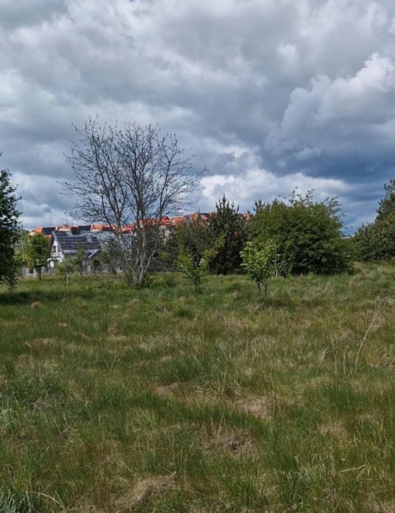 Działka rolno-budowlana 5226m2 Bielsk Podlaski Bielsk Podlaski - zdjęcie 8