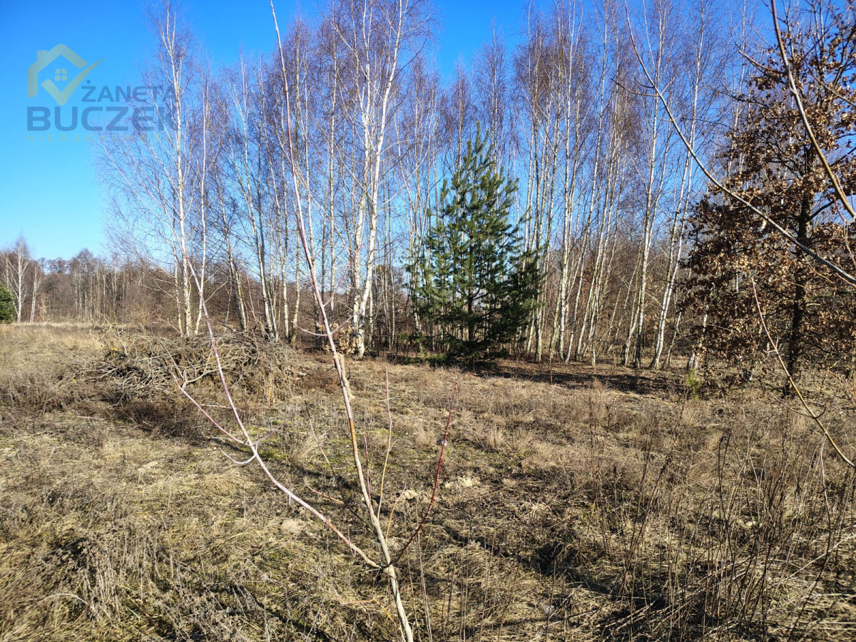 Sprzedam działki budowlane w Nowych Mostkach Nowe Mostki - zdjęcie 1