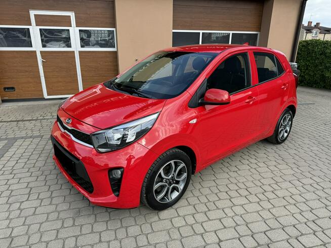 Kia Picanto 1,0 67KM  Klimatyzacja  Kamera  CarPlay Orzech - zdjęcie 12