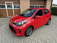 Kia Picanto 1,0 67KM  Klimatyzacja  Kamera  CarPlay Orzech - zdjęcie 12