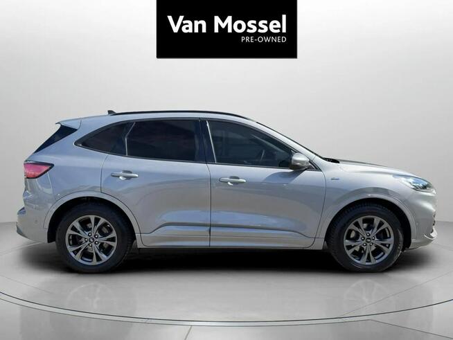Ford Kuga Sadlno - zdjęcie 4