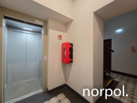 80 m² blisko Rynku | Idealne na studio, pracownię, mieszkanie lub 2w1 Kraków - zdjęcie 10