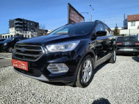 Ford Escape ALU | automat | tempomat | LED| instalacja LPG Bydgoszcz - zdjęcie 11