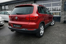 Volkswagen Tiguan Sadlno - zdjęcie 6