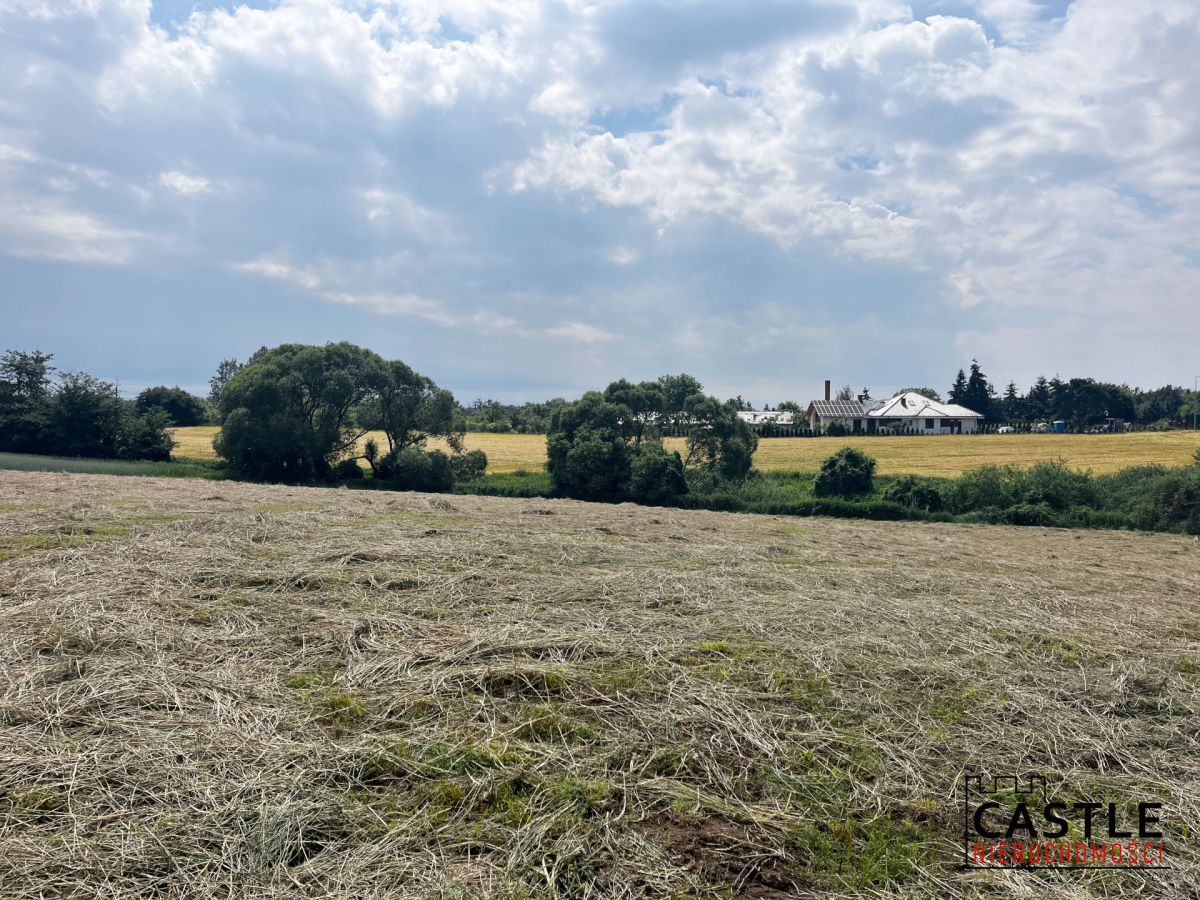 Działka na sprzedaż Golęczewo Golęczewo - zdjęcie 4