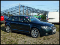 Audi A3 2.0TDi 140KM* DSG* skóra* panorama* serwis Nowy Sącz - zdjęcie 1