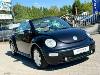Volkswagen New Beetle *Benzyna*Klimatyzacja*BDB stan* Zduńska Wola - zdjęcie 3
