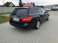 Mercedes E 250 2.2cdi 204KM Avantgarde 4matic 7osobowy Raty Zamiana Strobice - zdjęcie 10