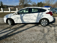 Ford Focus Nowe Iganie - zdjęcie 8