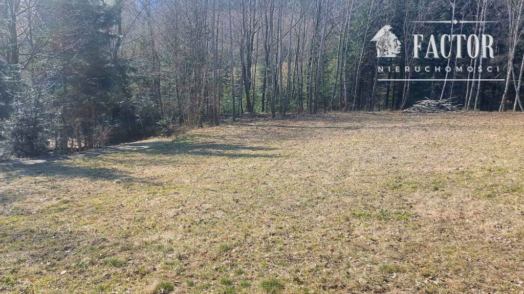 Widokowa działka budowlana 12,79 ara – Bieśnik, gm. Łużna 1191S/2026 Bieśnik - zdjęcie 5