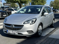 Salonowy, Zadbany i w ASO OPEL serwisowany Piła - zdjęcie 7