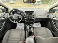 Ford Focus *po serwisie*klimatronik*bi-xenon*super stan*z Niemiec* Dąbrowa - zdjęcie 5