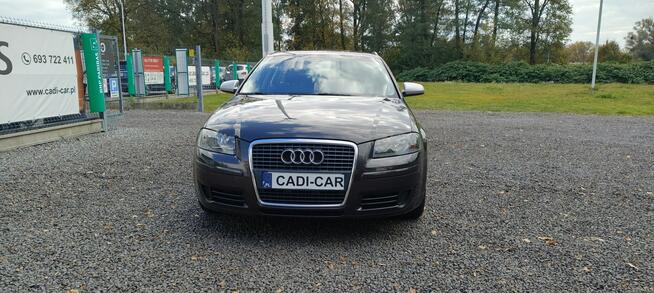 Audi A3 Super stan, pełna dokumentacja. Goczałkowice-Zdrój - zdjęcie 2