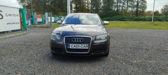 Audi A3 Super stan, pełna dokumentacja. Goczałkowice-Zdrój - zdjęcie 2