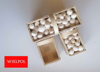 Opakowania do białych pieczarek / białej pieczarki