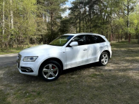 Audi Q5 3.0 TDI Automat Klaudyn - zdjęcie 9