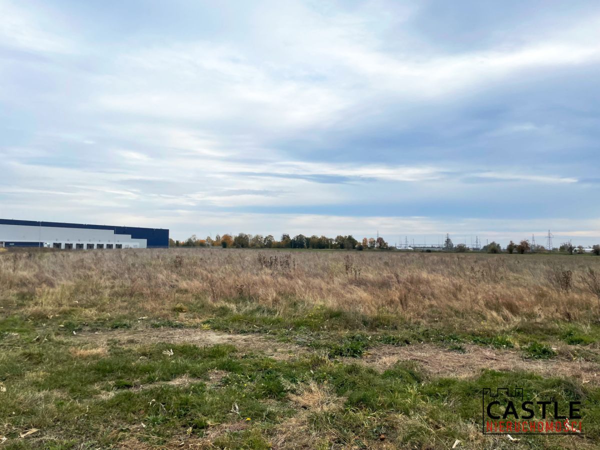 Inwestycja w sąsiedztwie firmy Raben Poznań - zdjęcie 8