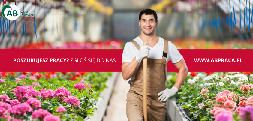 PRACOWNIK ZIELENI MIEJSKIEJ (M/K) Bydgoszcz - zdjęcie 1