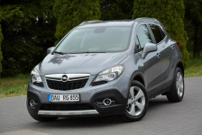 Innovation bi-Xenon Ledy Navi Skóry Grzana Kierownica Parktr. Aso Opel Ostrów Mazowiecka - zdjęcie 9