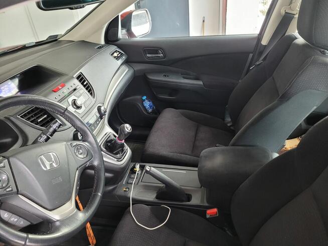 SPRZEDAM Pionki - zdjęcie 5