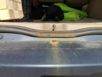 Renault Scenic 2 2007 Lublin - zdjęcie 6