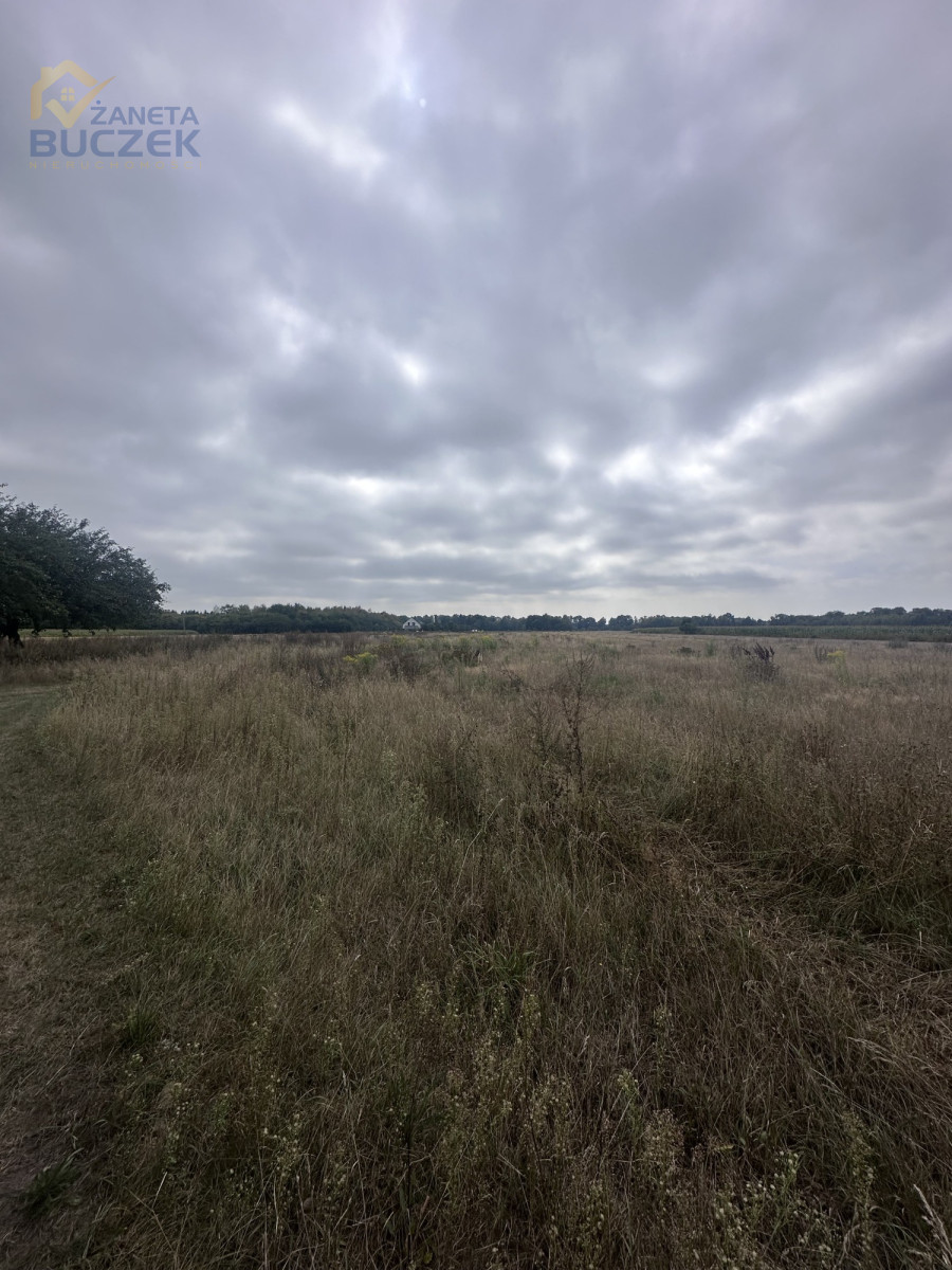 Działka rolna z budynkami - Pasikonie gm.Kampinos Pasikonie - zdjęcie 4