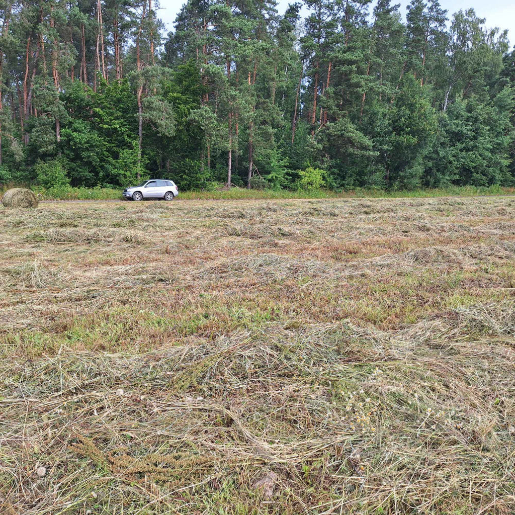 Działkę rolną Kałduny - zdjęcie 3