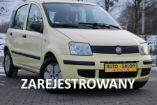 Fiat Panda zarejestrowany