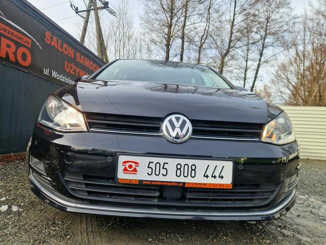 Volkswagen Golf 1.4 benzynka.  Radar. Navigacja Rybnik - zdjęcie 2