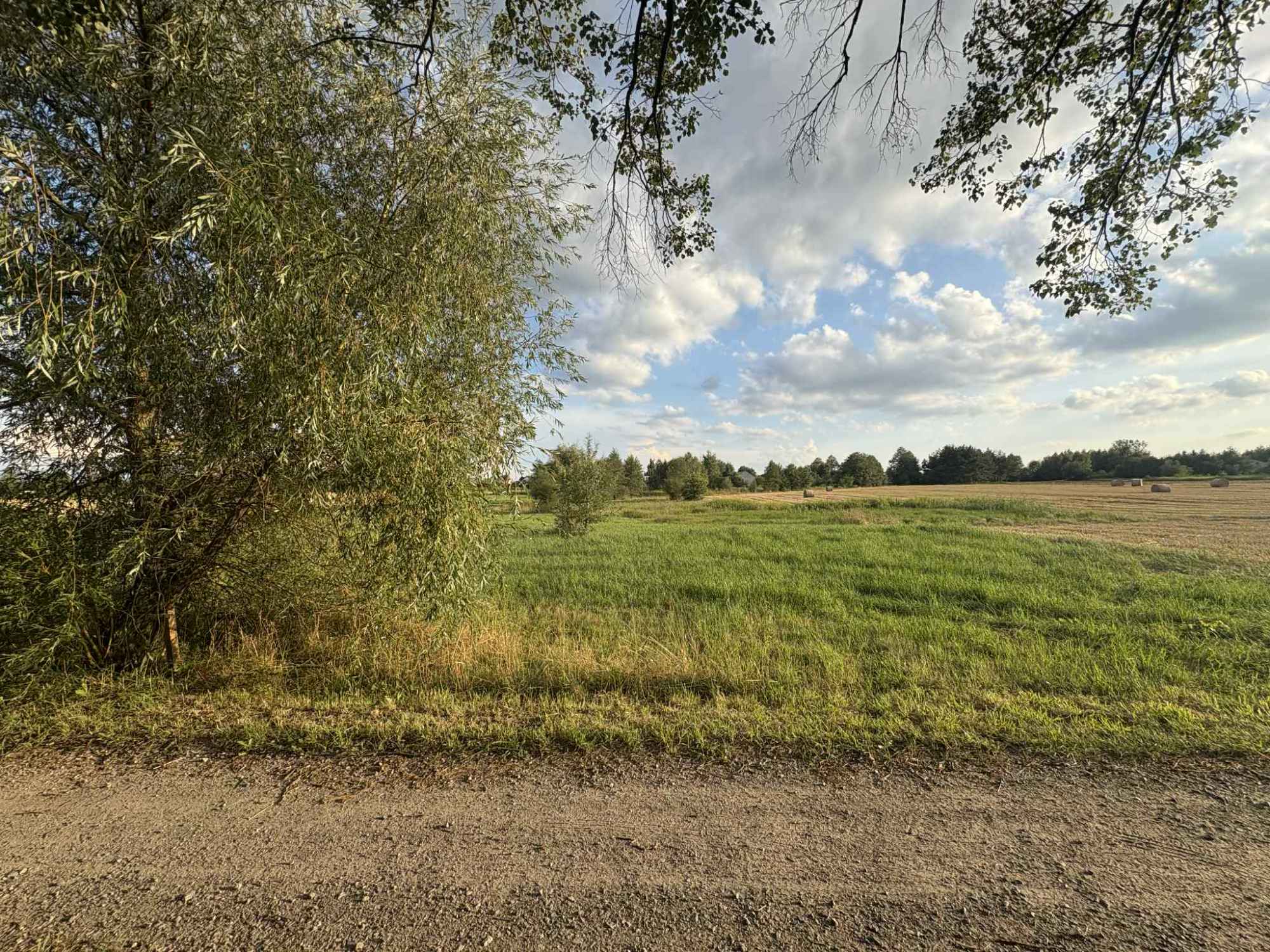 Sprzedam działkę Kozłówka - zdjęcie 3