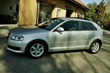 Audi A3 1,6TDI Klima, alu, Xenony, 2009r. Płock - zdjęcie 8