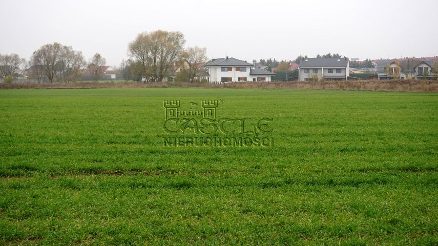 Tylko teraz TAKA CENA. Zalasewo - zdjęcie 3