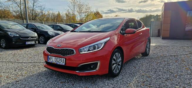 Kia Pro Cee'd Super Stan Bezwypadkowy 1.4 Płock - zdjęcie 2