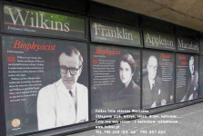 Zrywanie folii z witryn Warszawa, zrywanie naklejek z witryn Warszawa Ochota - zdjęcie 12