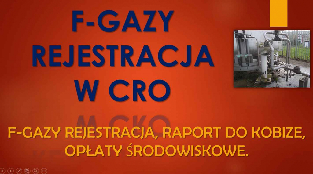 Zgłoszenie do CRO, cena tel. 504-746-203. Centralny Rejestr Operatorów Psie Pole - zdjęcie 6