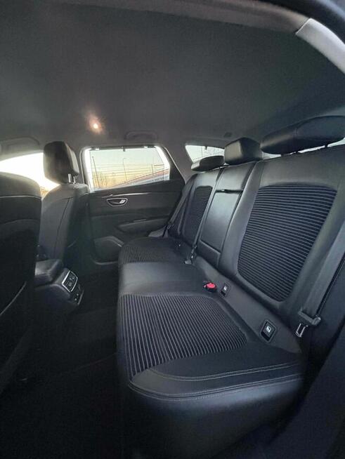 Talisman Skierniewice - zdjęcie 1