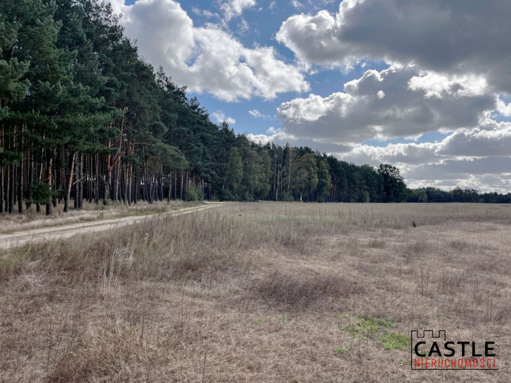 Działka budowlana blisko lasu, Trzciel/Jasieniec Trzciel - zdjęcie 4