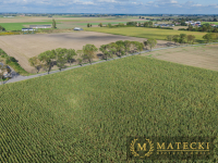 Działka AG  - 7 km od Poznania Komorniki - zdjęcie 11