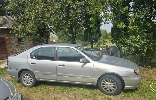 Nissan Primera P11 Skierniewice - zdjęcie 1