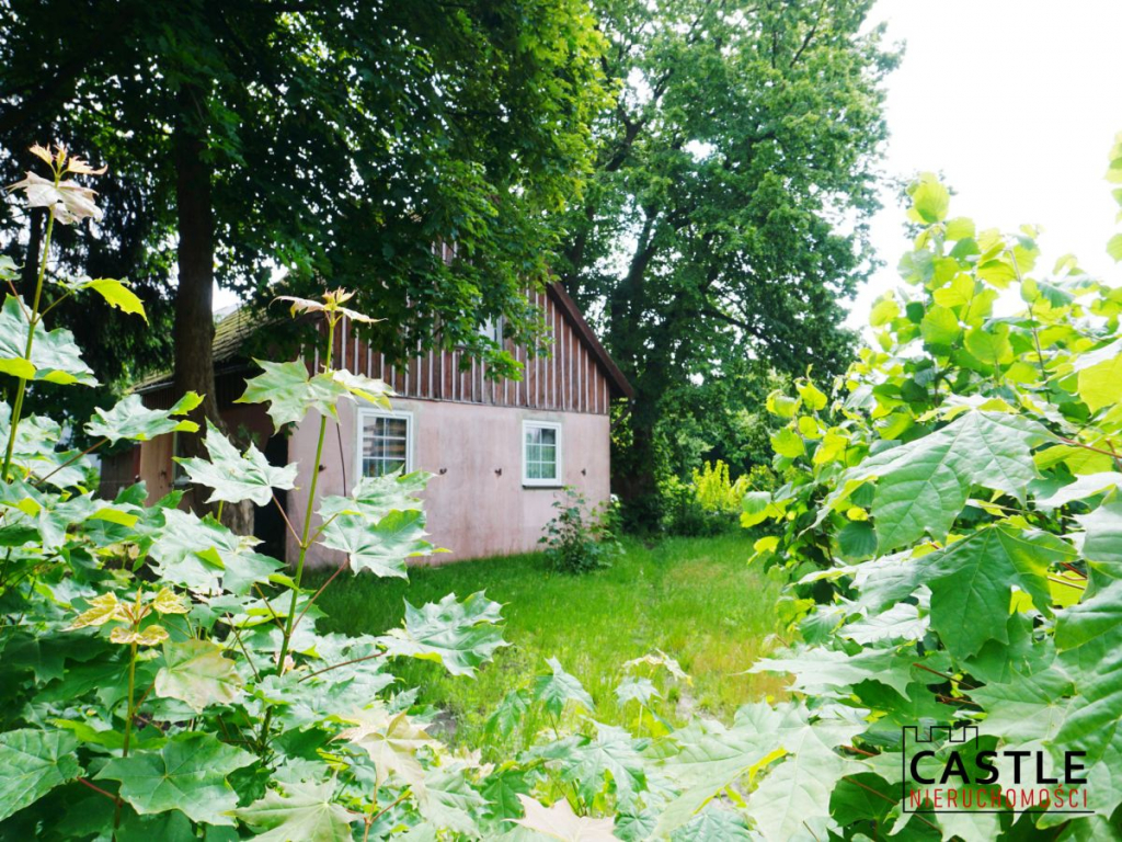 działka z domem do remontu I blisko plaża I Stegna Stegna - zdjęcie 5