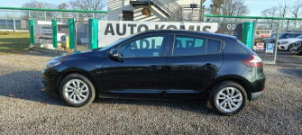 Renault Megane Krajowy, drugi właściciel. Goczałkowice-Zdrój - zdjęcie 7