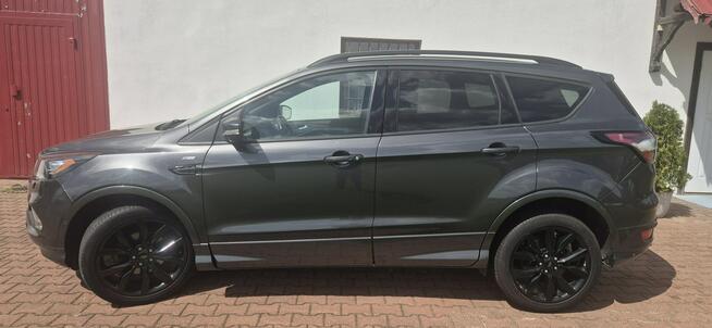 Ford Kuga ST-LINE-KAMERA-START-STOP Paproć - zdjęcie 7