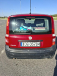 Sprzedam Fiat Panda Ćmielów - zdjęcie 2