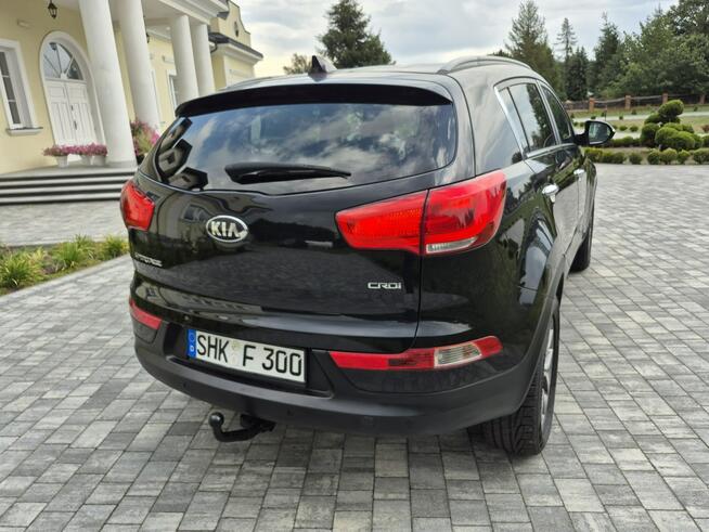Kia Sportage kamera xenon navigacja skóra Import Francja bez korozji Drelów - zdjęcie 12