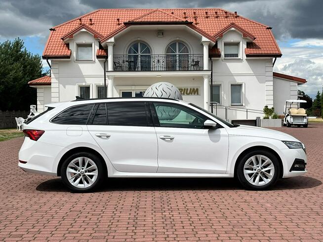 Octavia 2.0 TDI | 2023 | Serwis ASO | Salon PL | 116 KM | automat Nowe Iganie - zdjęcie 5