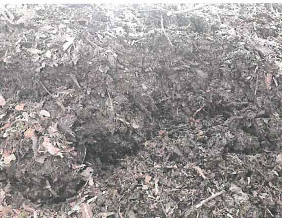 biomasa, kora sosnowa Stare Miasto - zdjęcie 1