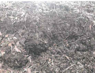 biomasa, kora sosnowa